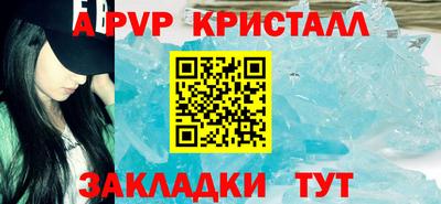 кокс Кингисепп