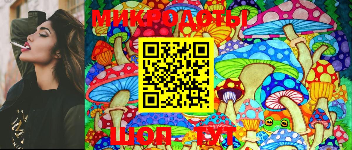 Галлюциногенные грибы Cubensis  Вход с VPN  Псилоцибиновые грибы Psilocybe  Конаково 