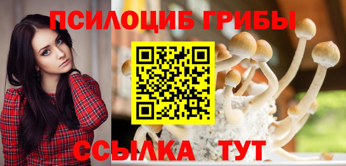 Псилоцибиновые грибы MAGIC MUSHROOMS Конаково